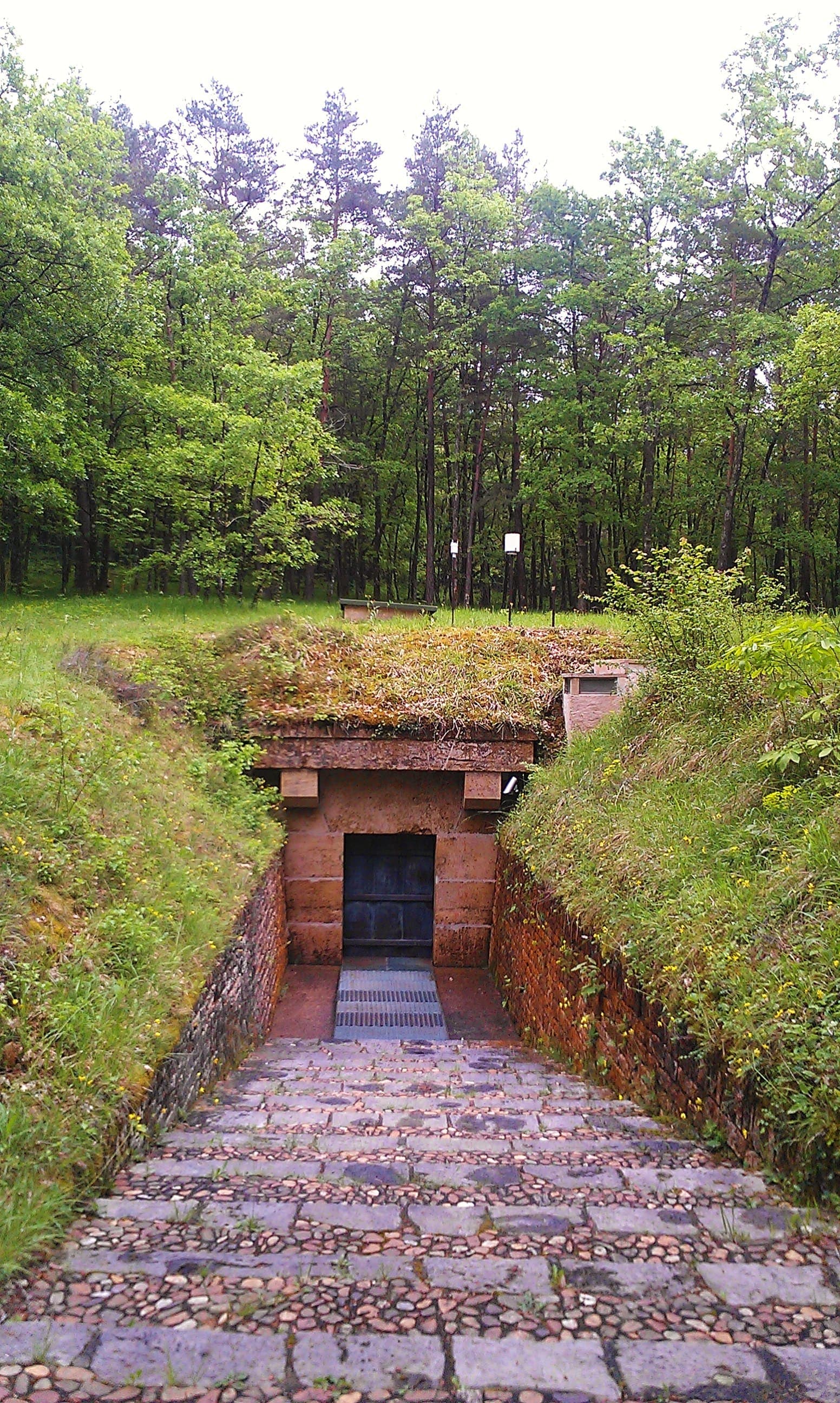 Lascaux IV
