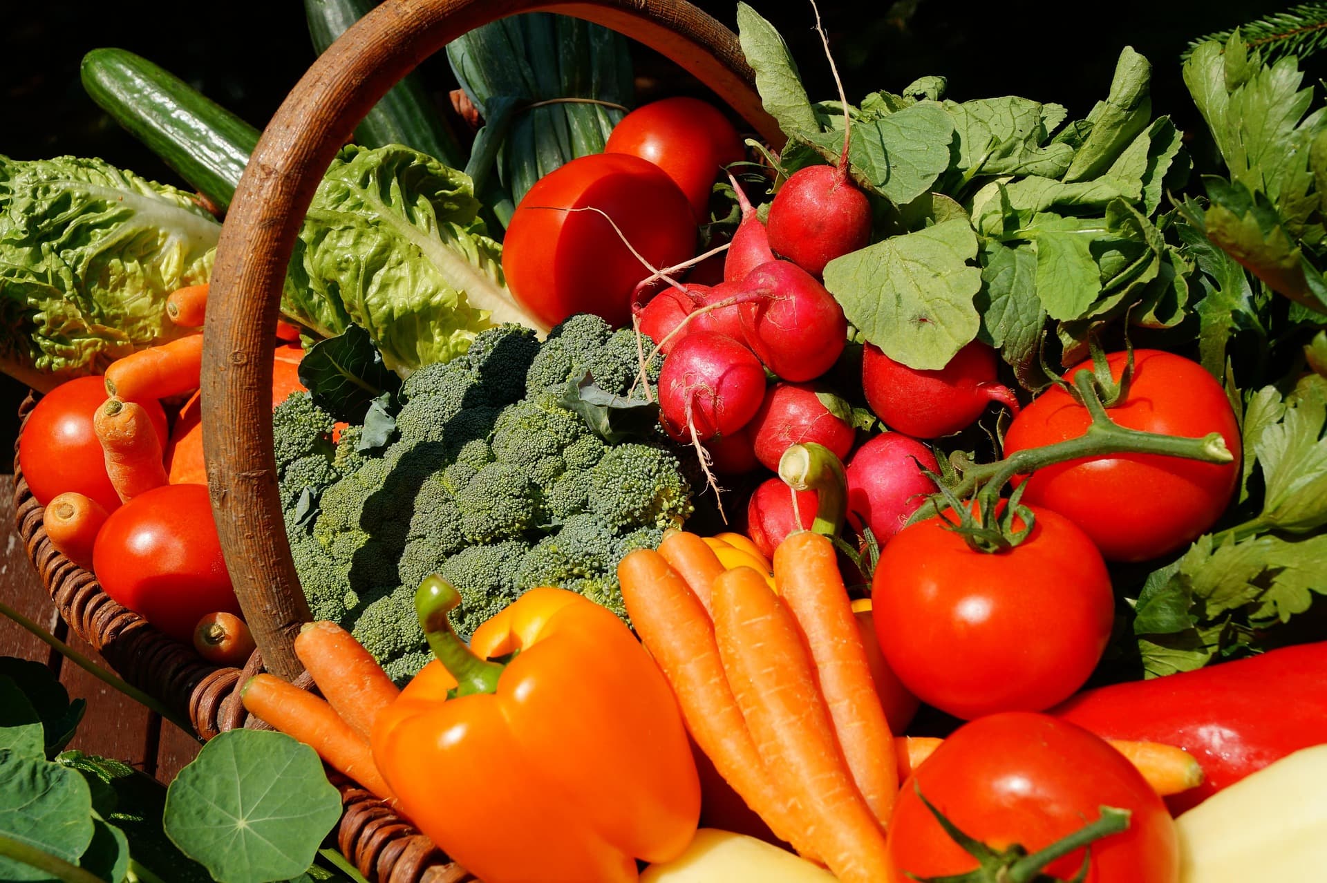 Marché de Saint Cirq Souillaguet
