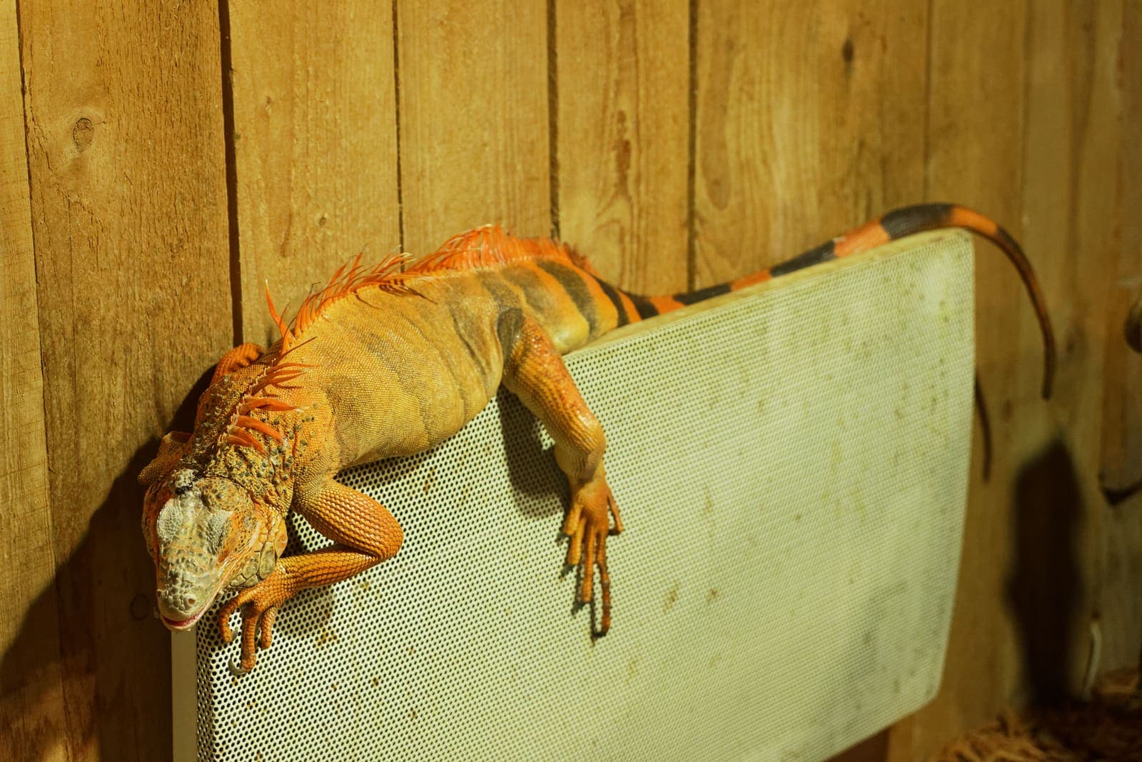 Aquarium du Périgord Noir