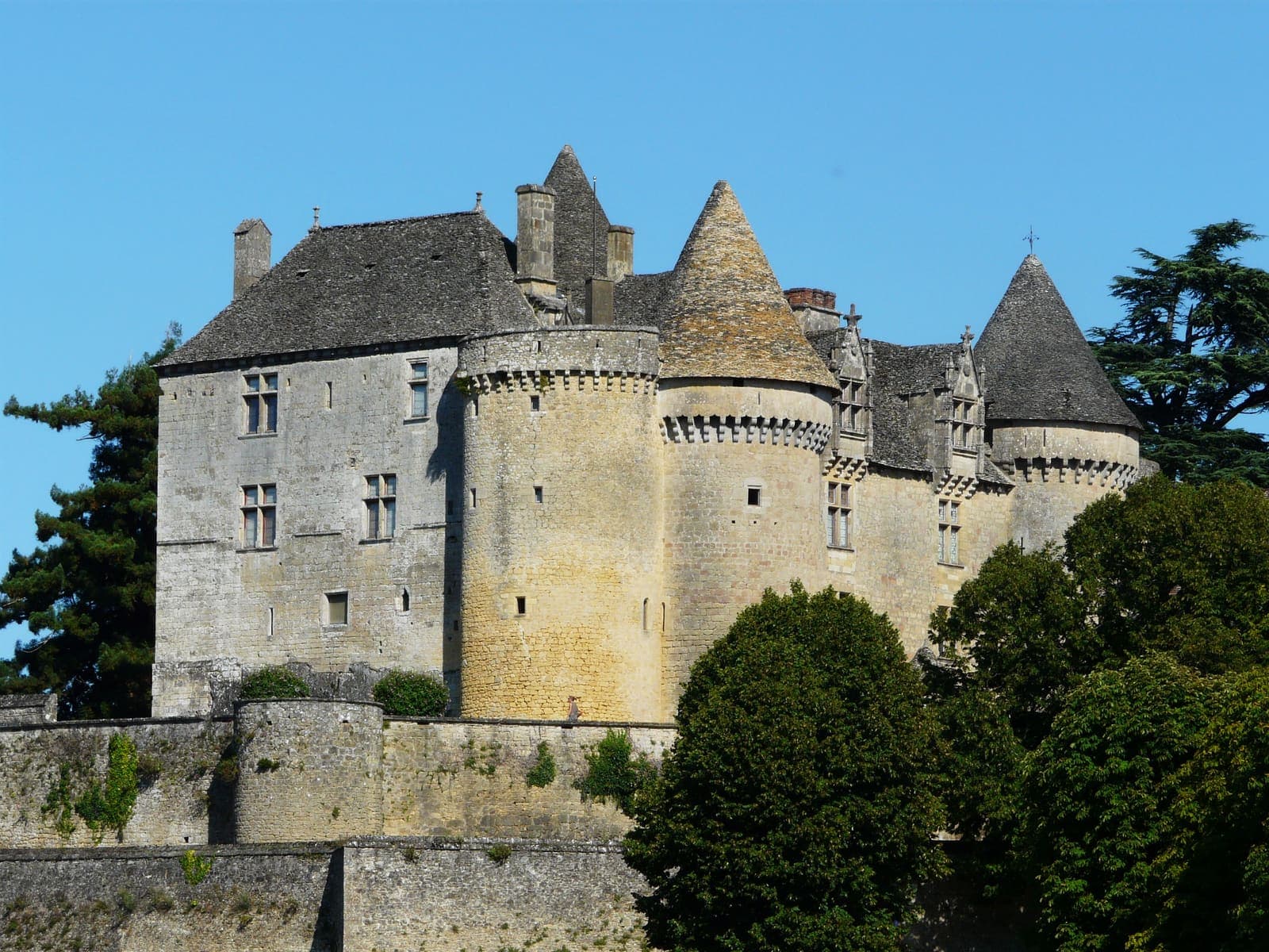 Château de Fénelon