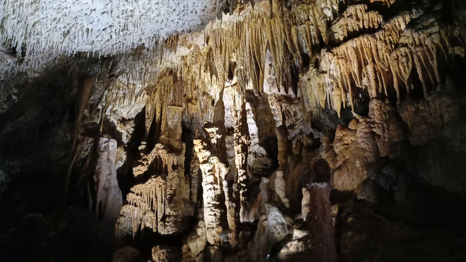 Grotte de Domme